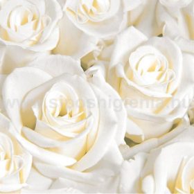 White Dreams Dunisoft rózsás szalvéta 40x40cm