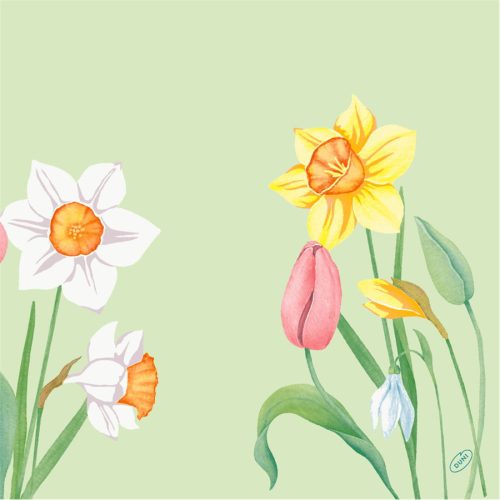 SPRING MELODY szalvéta 4 réteg 40x40cm 50db/csom. (6csom./karton)