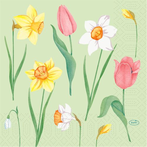 SPRING MELODY tissue szalvéta 33x33cm 50db/csom. (10x50db/karton)