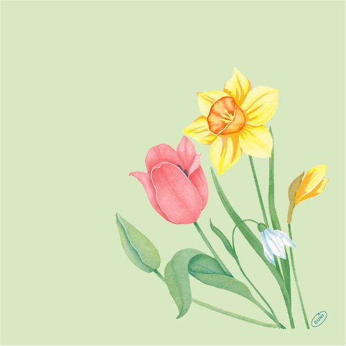 SPRING MELODY Bio Dunisoft textilhatású szalvéta 40x40cm 60db/csom. (6csomag/karton)