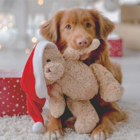   WOOF kutyás karácsonyi szalvéta, 3rét, 33x33cm, 12x20db/karton  (RETAIL)