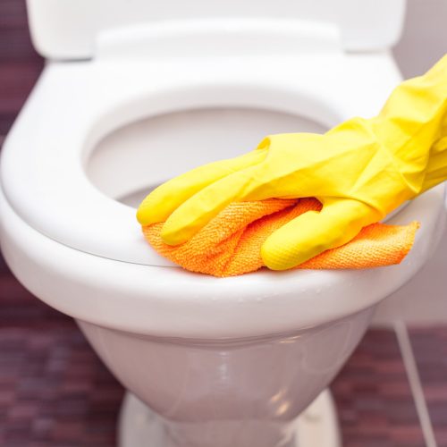 Tork Premium WC ülőketisztító folyadék 525ml  S5 rendszer ÚJ (8 db/kart) / UN1170 ( LQ)