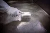 Rövid nyelű kefe Fehér Erős szálak 270mm Vikan