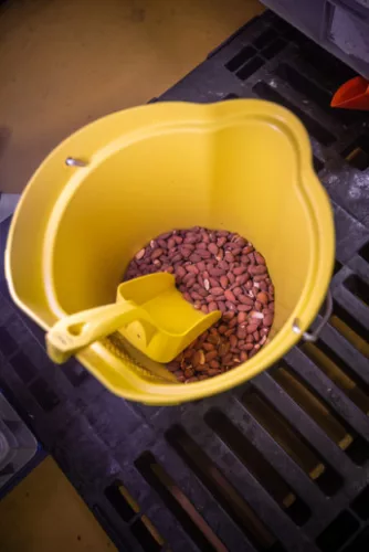 Vödör, fém detektálható, 12 literes, sárga Vikan
