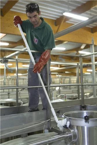 Állítható dőésszögű kefe fehér, 240mm Vikan hygiene system