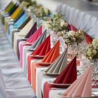 Dunisoft uni-color napkins