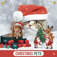 Cicás, kutyás, szarvasos karácsonyi szalvéták, Toalett papír és zsebkendő